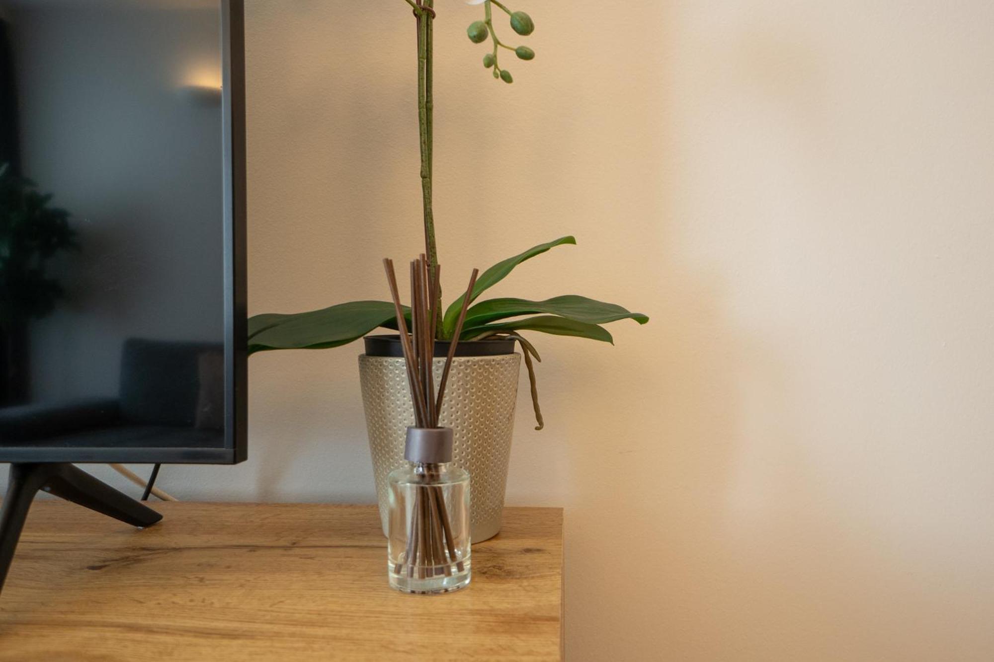 Charming Apartment With Balcony, Close To Stephansdom Cathedral Vienna Exterior photo